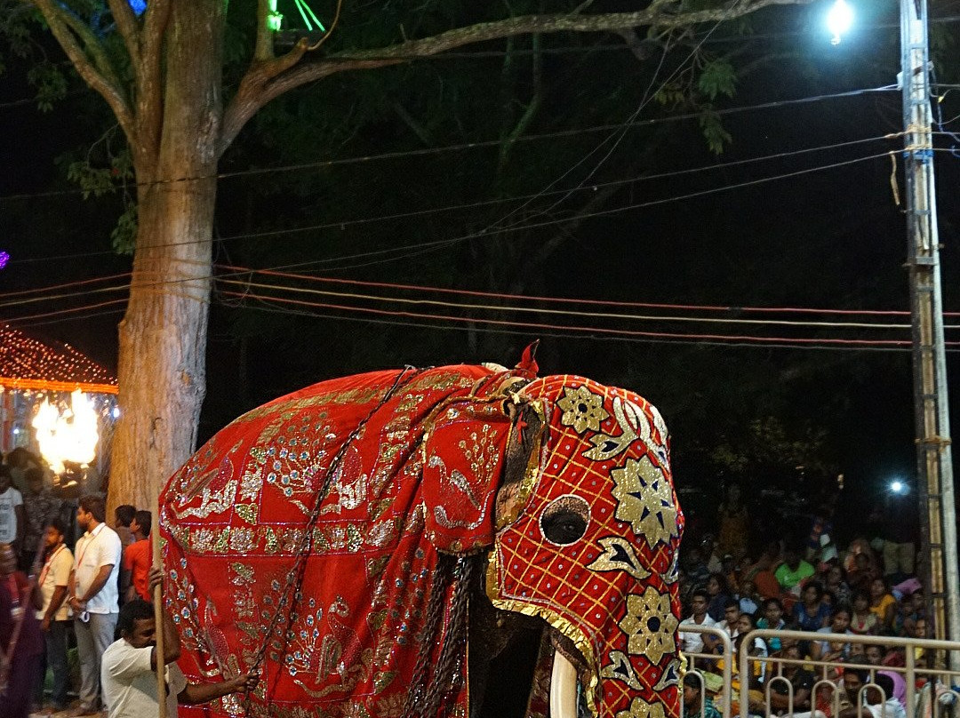 Kataragama Perahera Festival-卡塔拉伽马必去景点