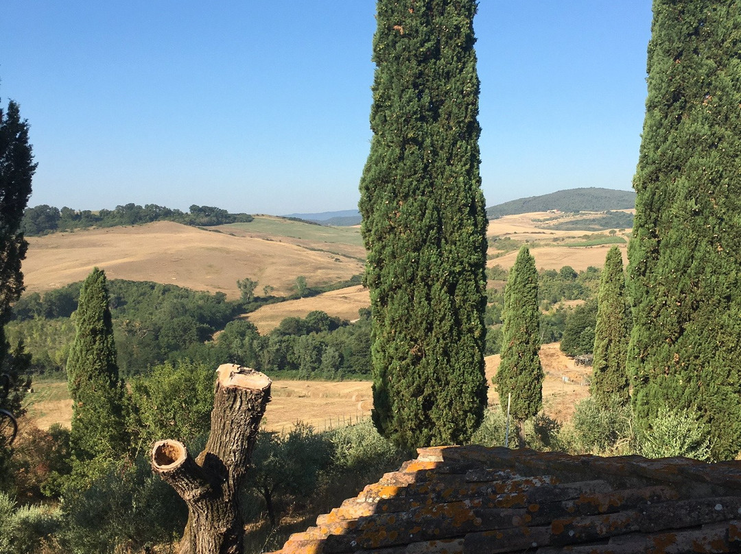 Agriturismo Quarantallina主图