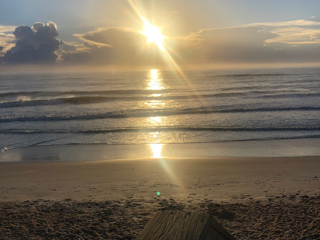 Jungle Hut Park-棕榈海岸必去景点