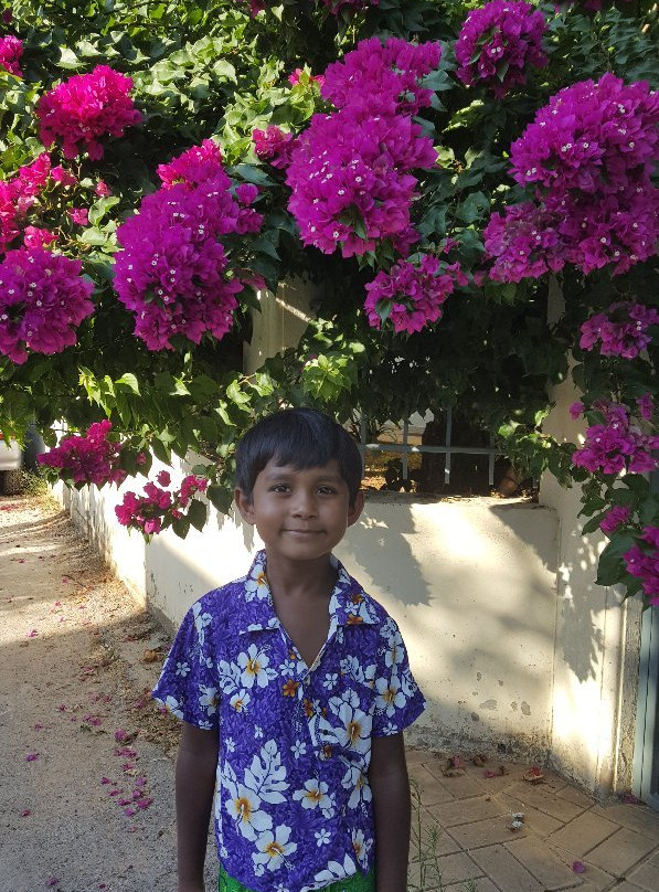 Argo Apartments主图