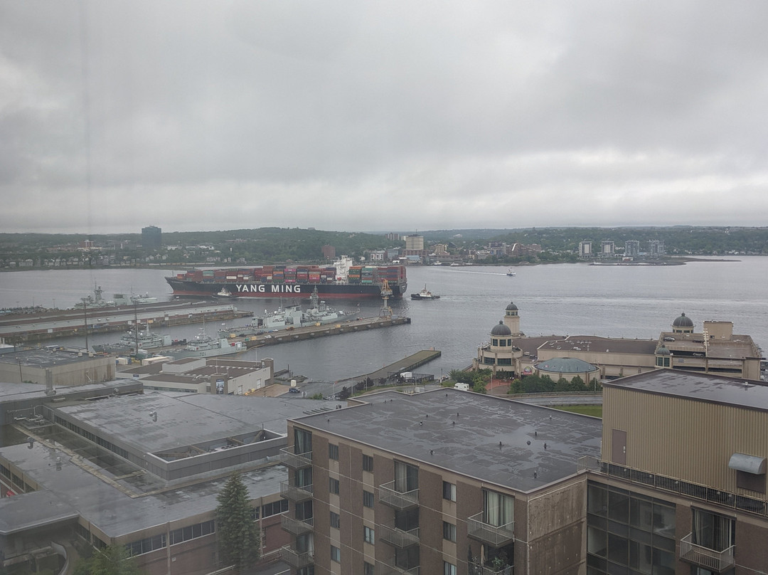 哈里法克斯市中心希尔顿欢朋酒店主图