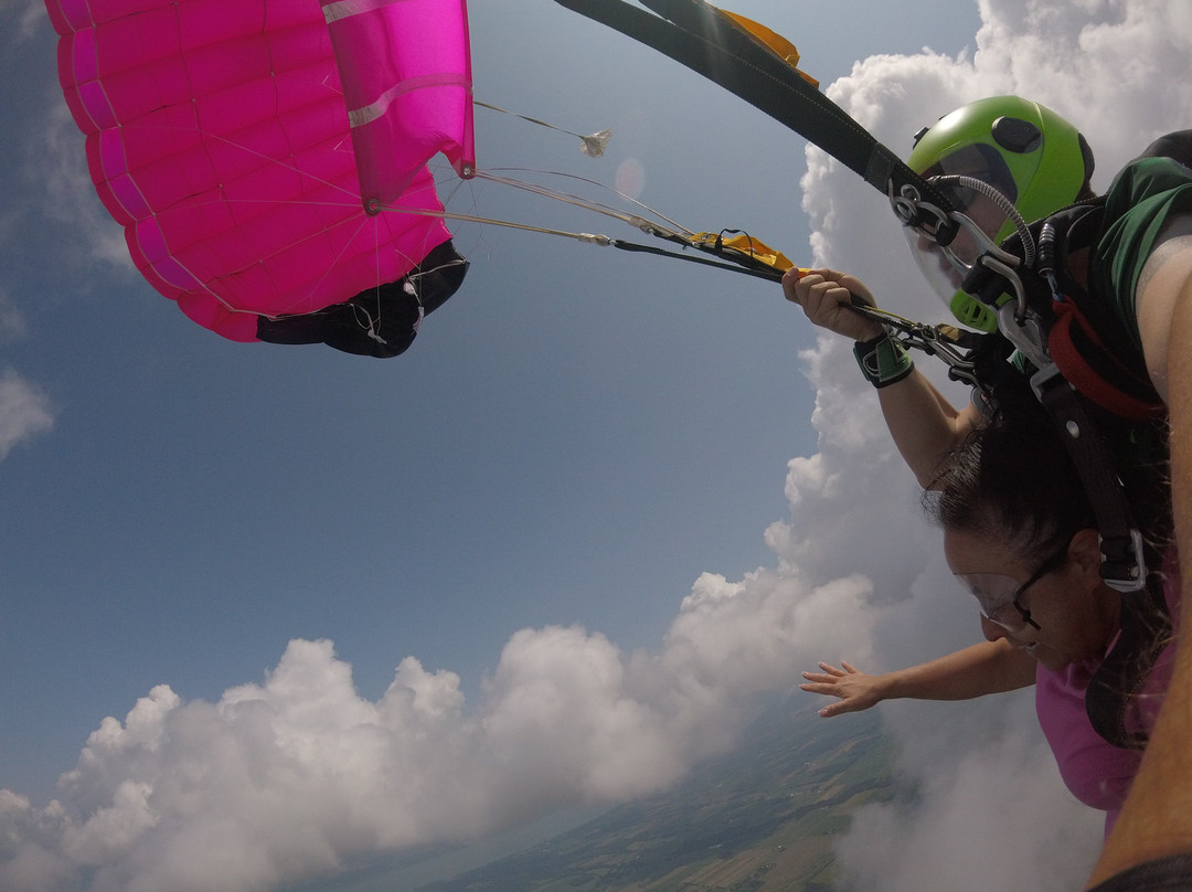 Skydive Finger Lakes景点图片