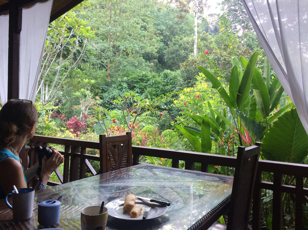 Thousand Hills Ketambe主图