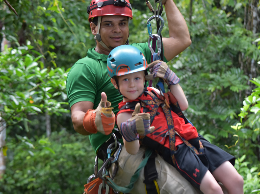 TiTi Canopy Tours景点图片