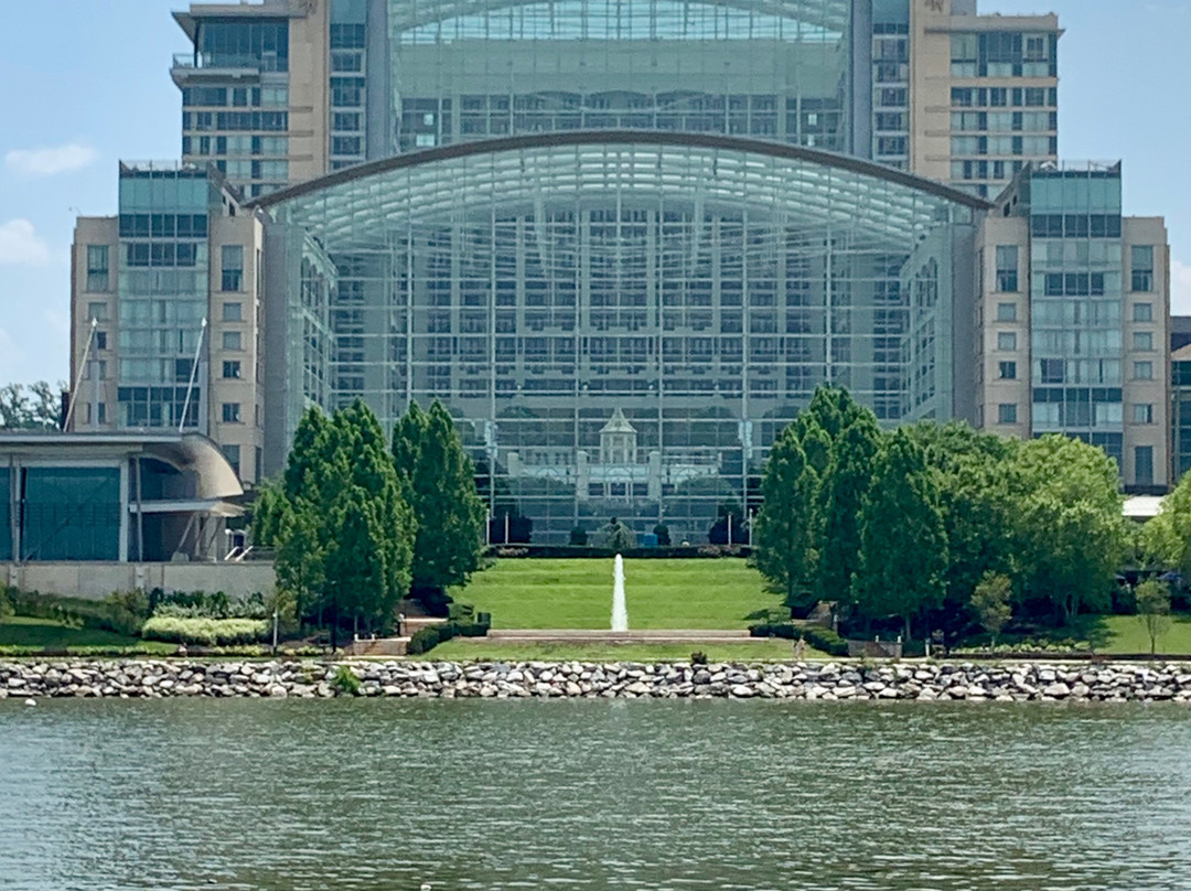 Potomac Water Taxi | City Cruises-亚历山德里亚必去景点