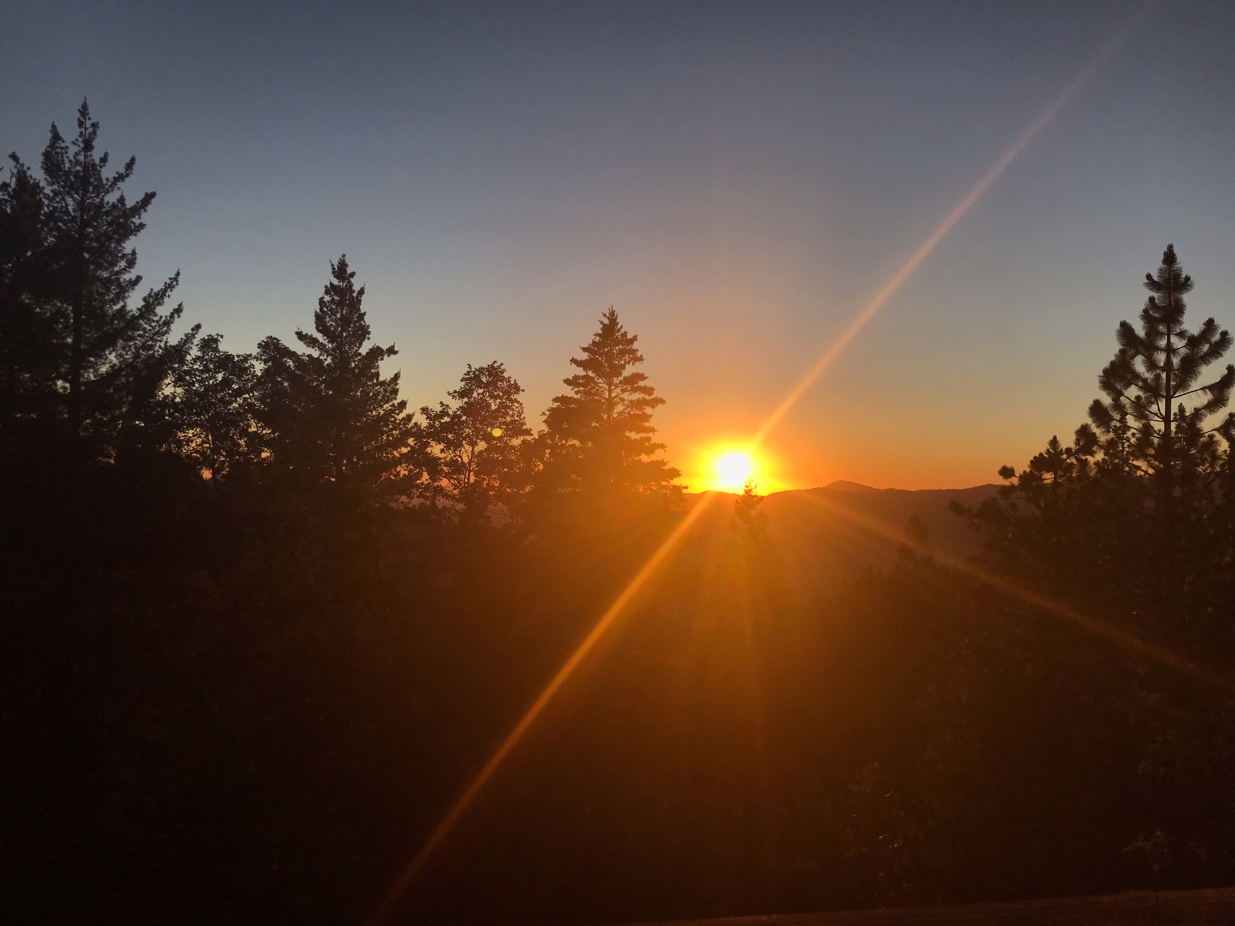 Yosemite West High Sierra Bed and Breakfast-酒店景观