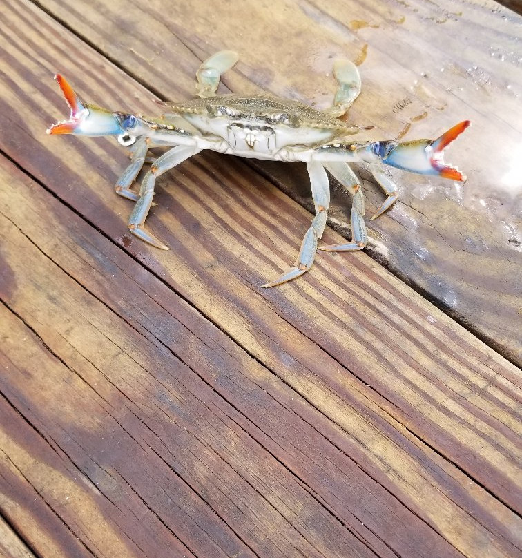 Holts Landing State Park-Millville必去景点