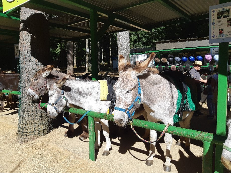 Les Anes d'Alexandre et Sylvain-Aydat必去景点