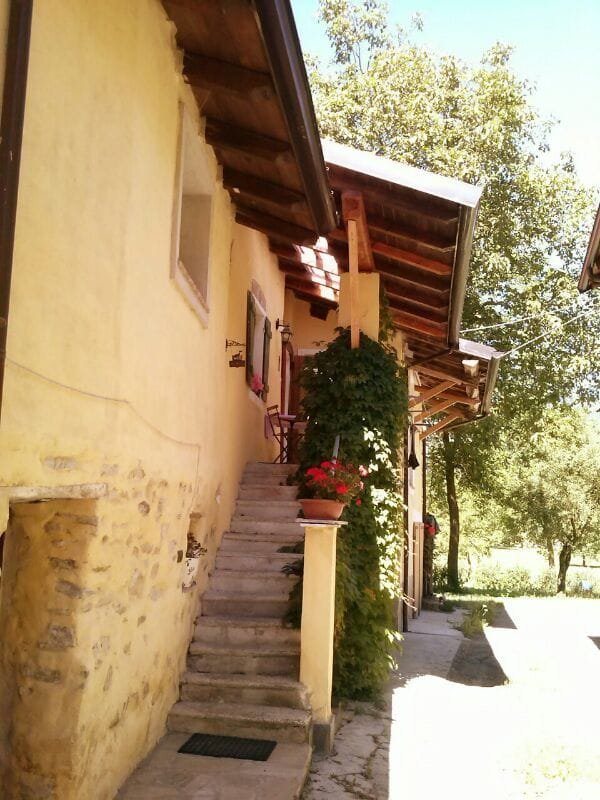 Bandet B & B-官方