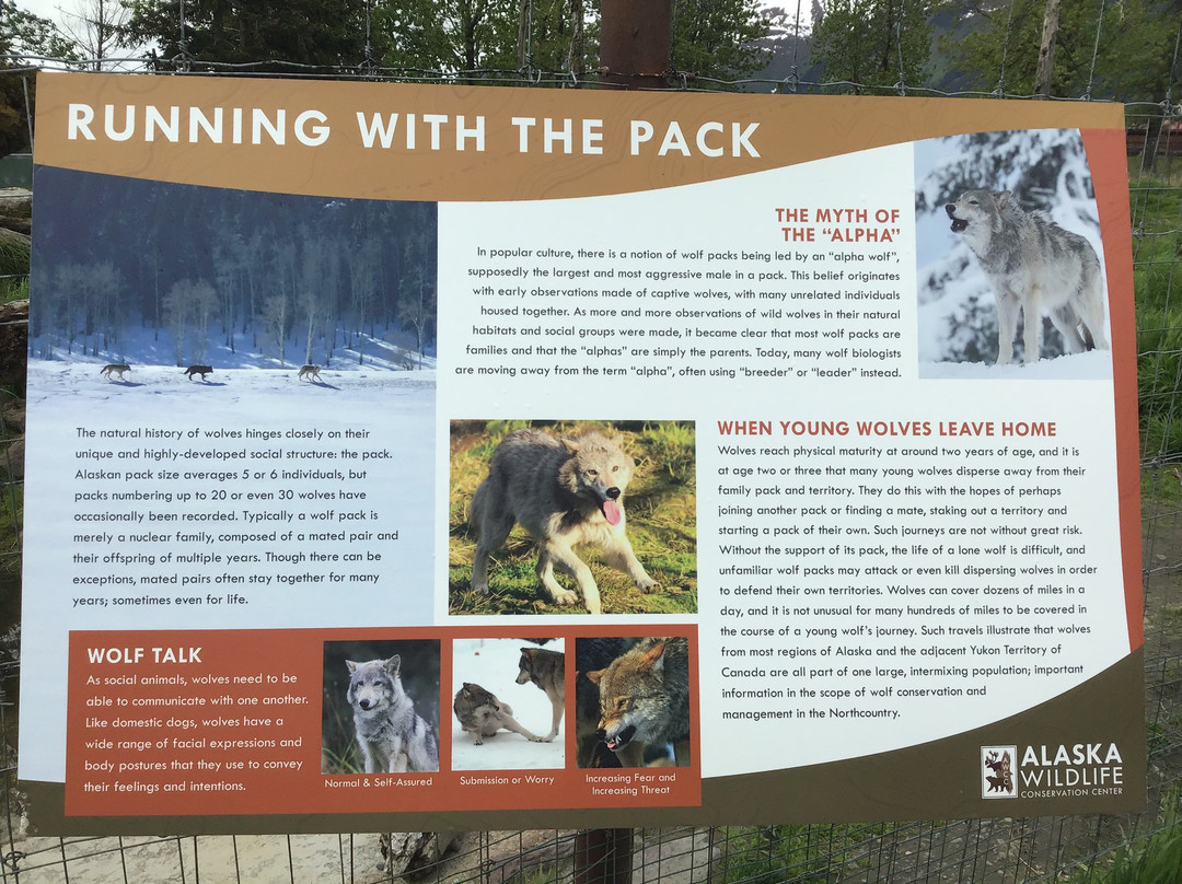 Alaska Wildlife Conservation Center景点图片