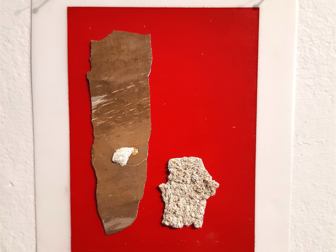 Anna Leonowens Gallery-哈利法克斯必去景点