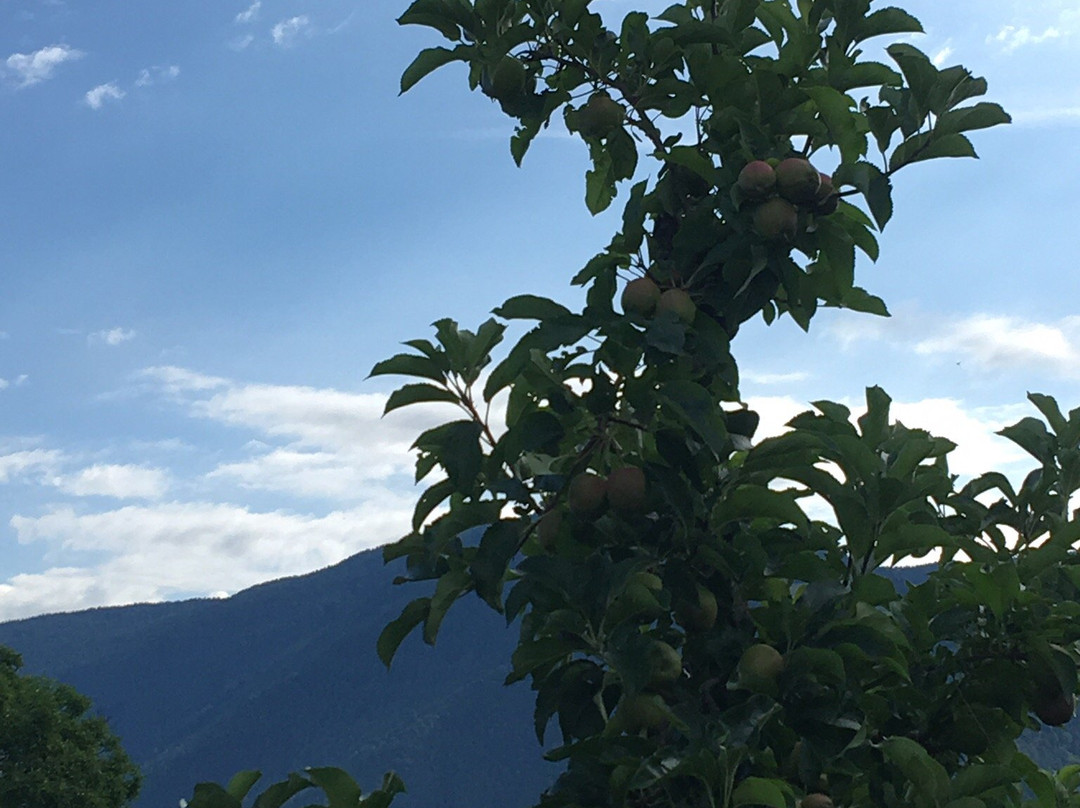 Sentiero della mela-Naz-Sciaves必去景点