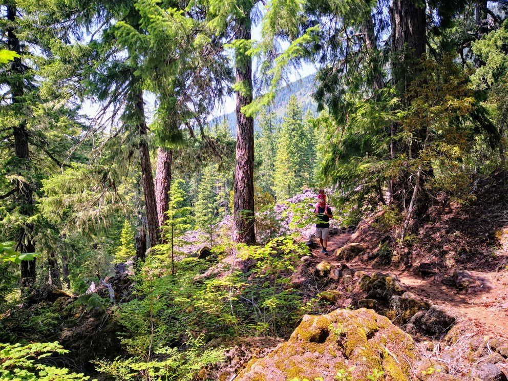 McKenzie Pass-Santiam Pass loop-Sisters必去景点