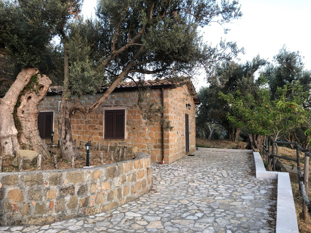 Agriturismo Il Giglio主图