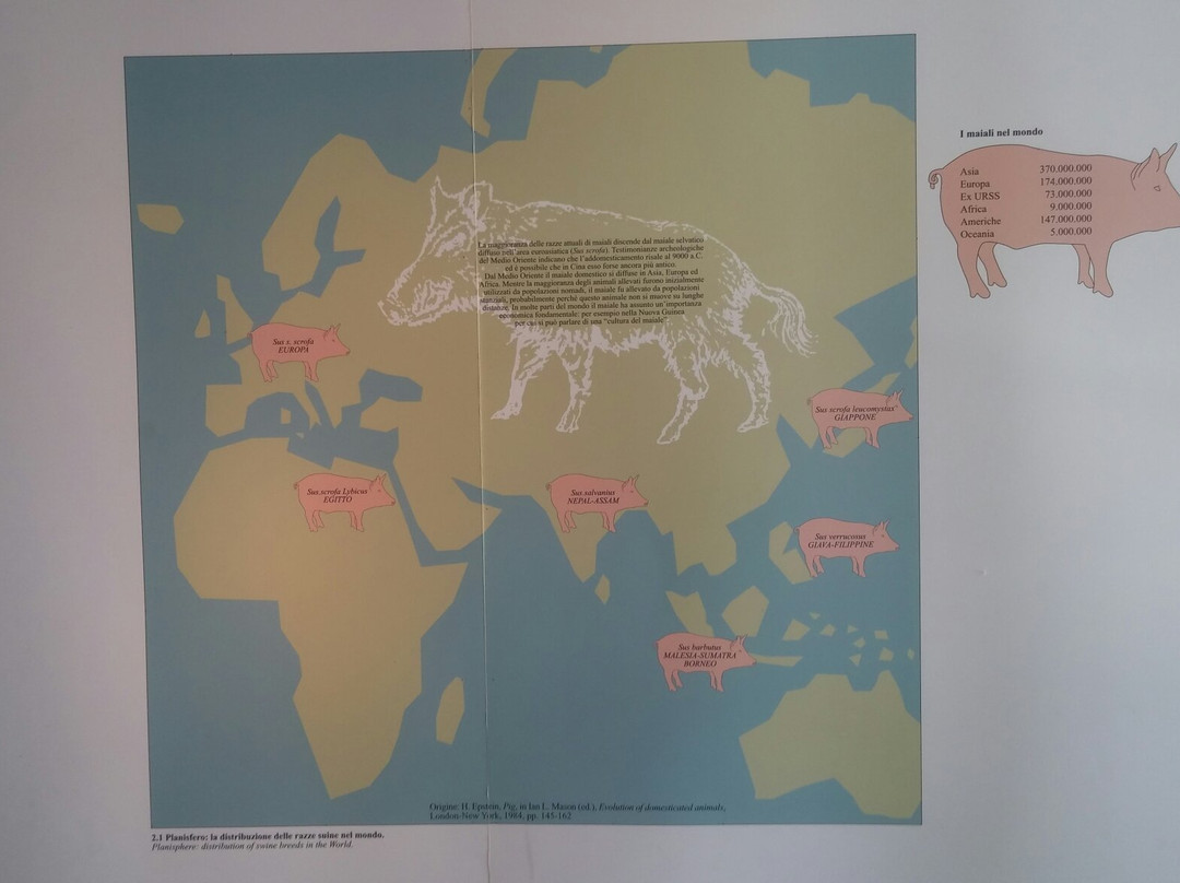 Museo del Prosciutto e dei Salumi景点图片
