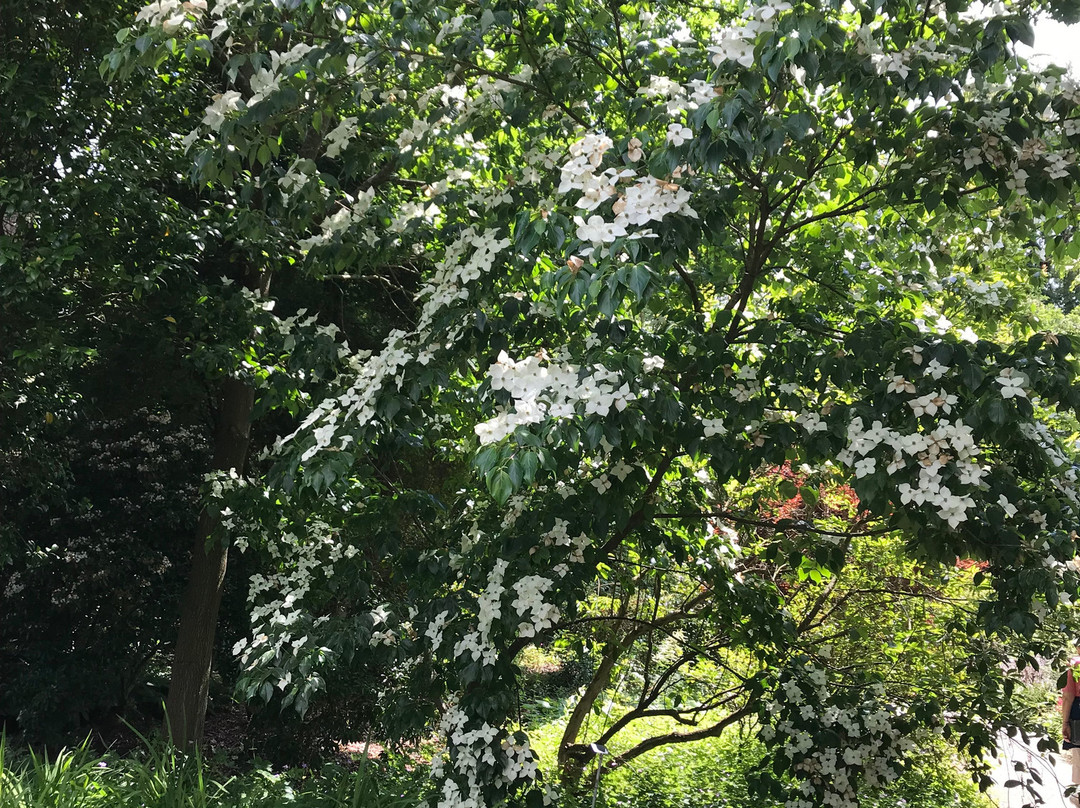 RHS Garden Wisley-Wisley必去景点