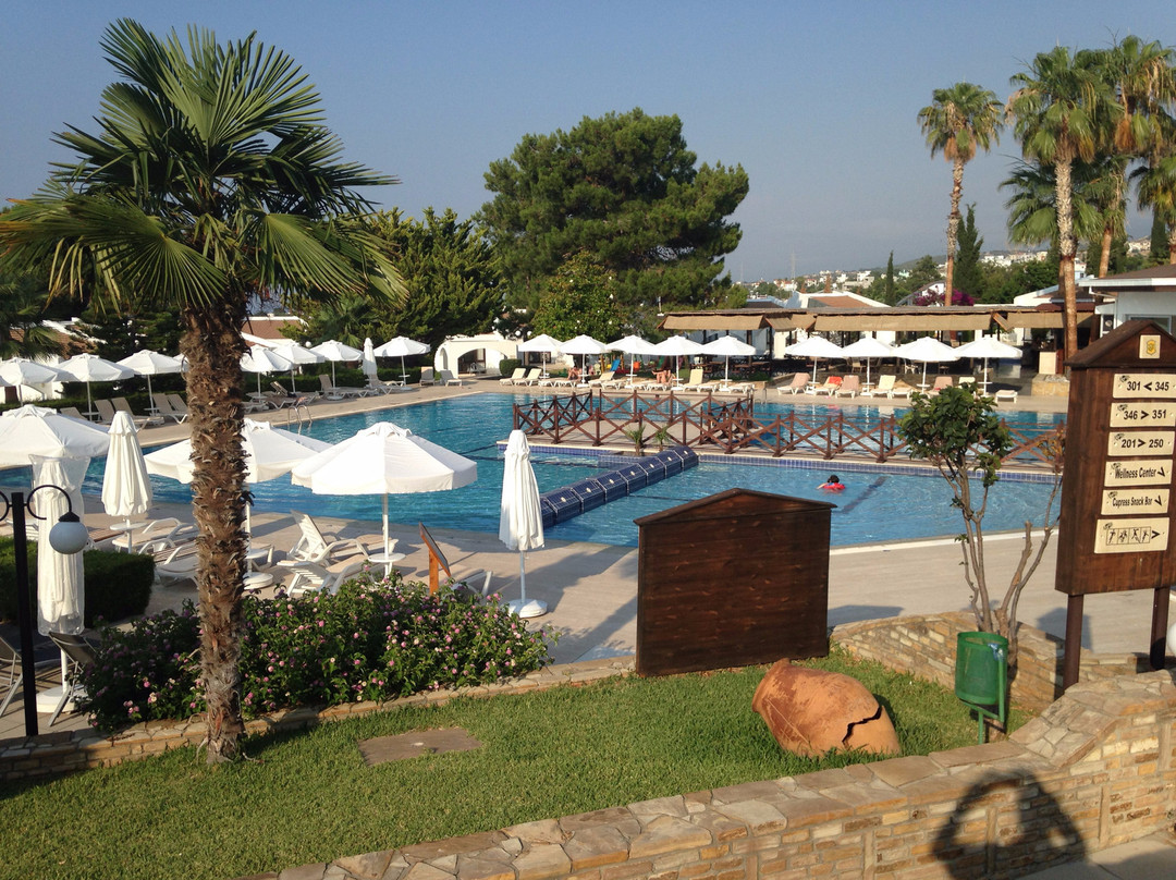 The Olive Tree Hotel主图