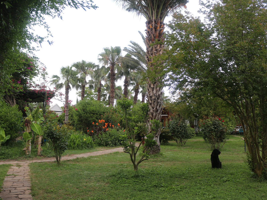 Hemerans Anatolia Resort Hotel主图