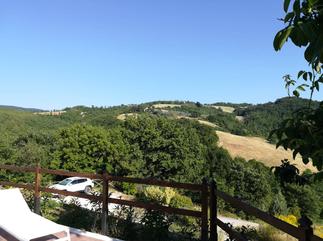 Agriturismo Colle Pu主图