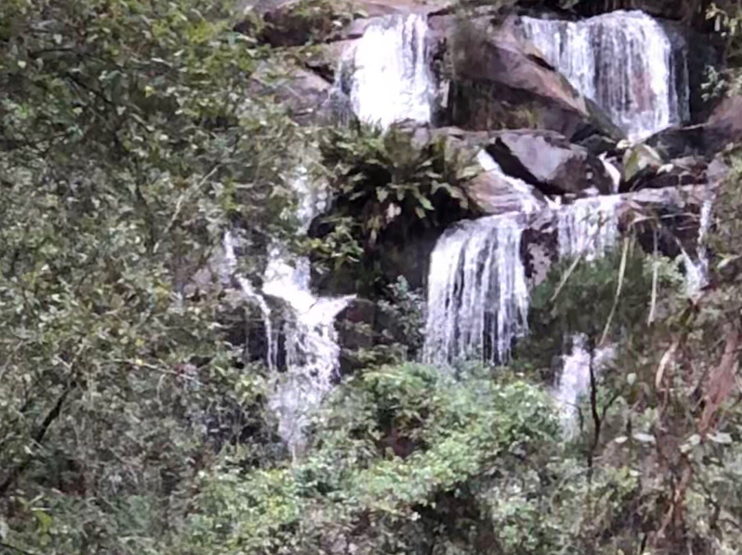 Toorongo Falls景点图片