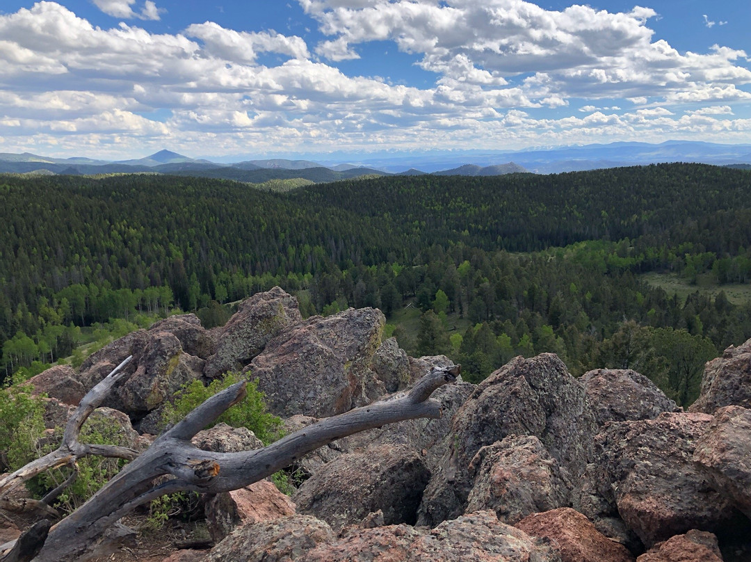 Mueller State Park景点图片