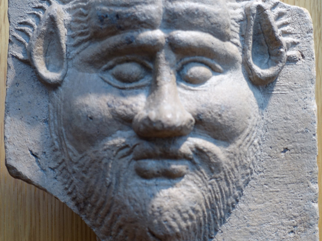Museo Archeologico Provinciale di Salerno景点图片