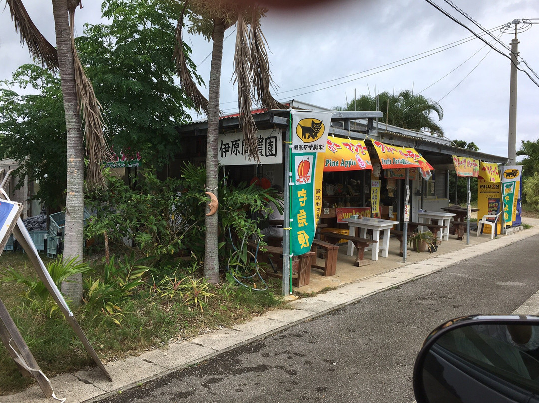 Ibaruma Farm Fruits Chokubaijo景点图片