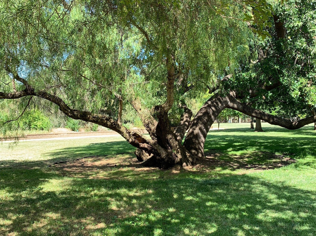 Markham Nature Park and Arboretum-康科德必去景点
