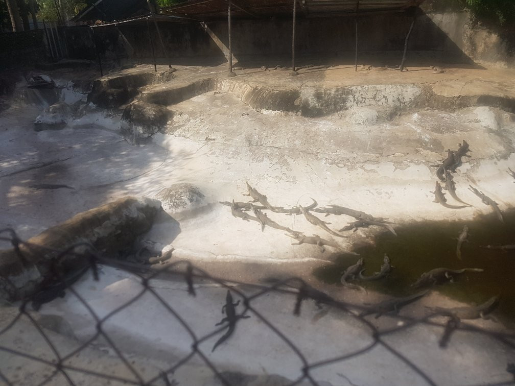 Mamba Village Centre-蒙巴萨必去景点