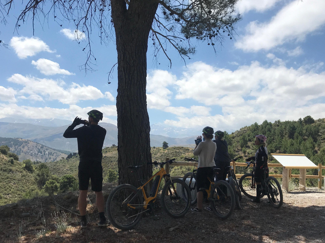 Ebike Tour Granada景点图片
