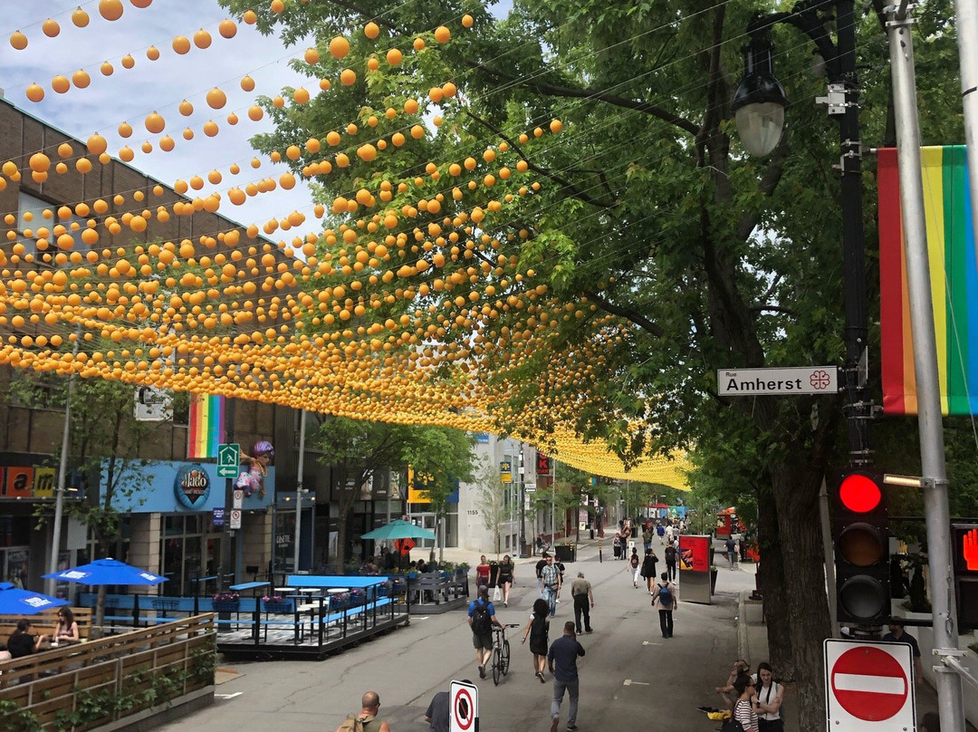 Gray Line-蒙特利尔必去景点