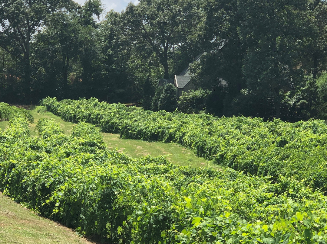 Kiepersol Bed and Breakfast主图