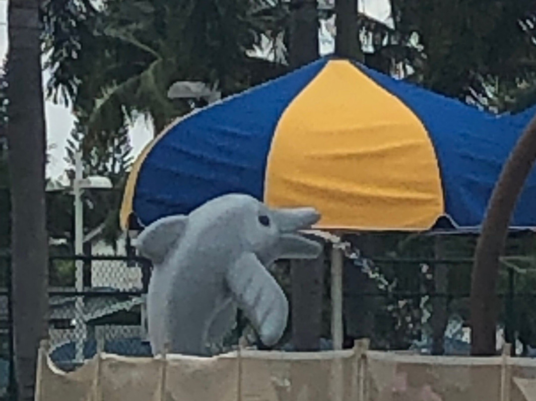 Calypso Cove Aquatic Facility-Margate必去景点