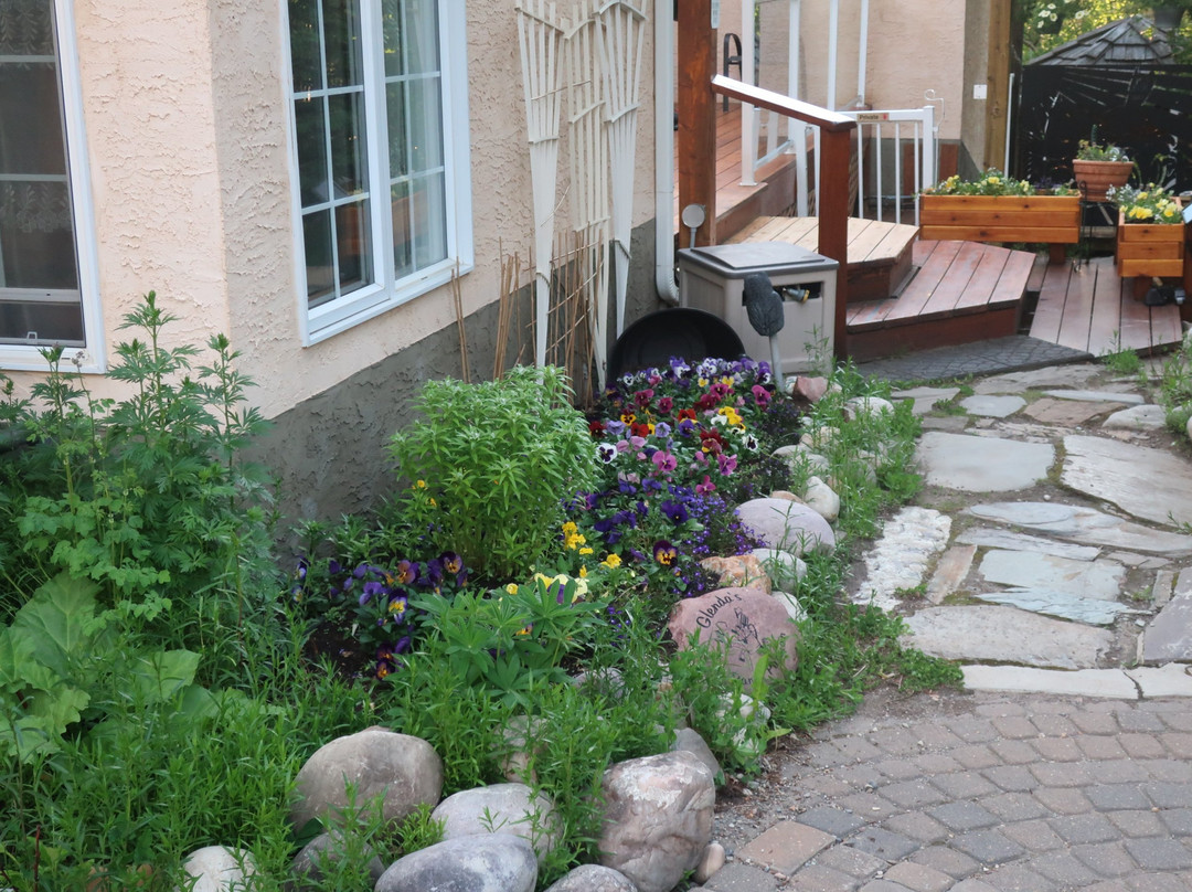 Wyndswept Bed and Breakfast主图