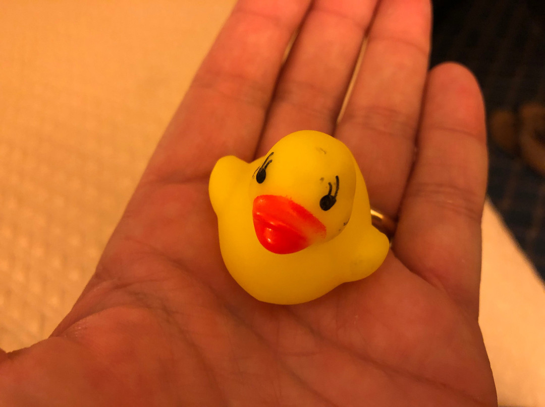 Days Inn by Wyndham Worland主图