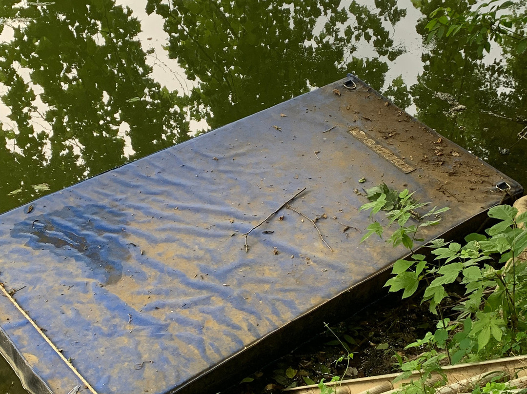 River Bluff Farm Bed & Breakfast主图