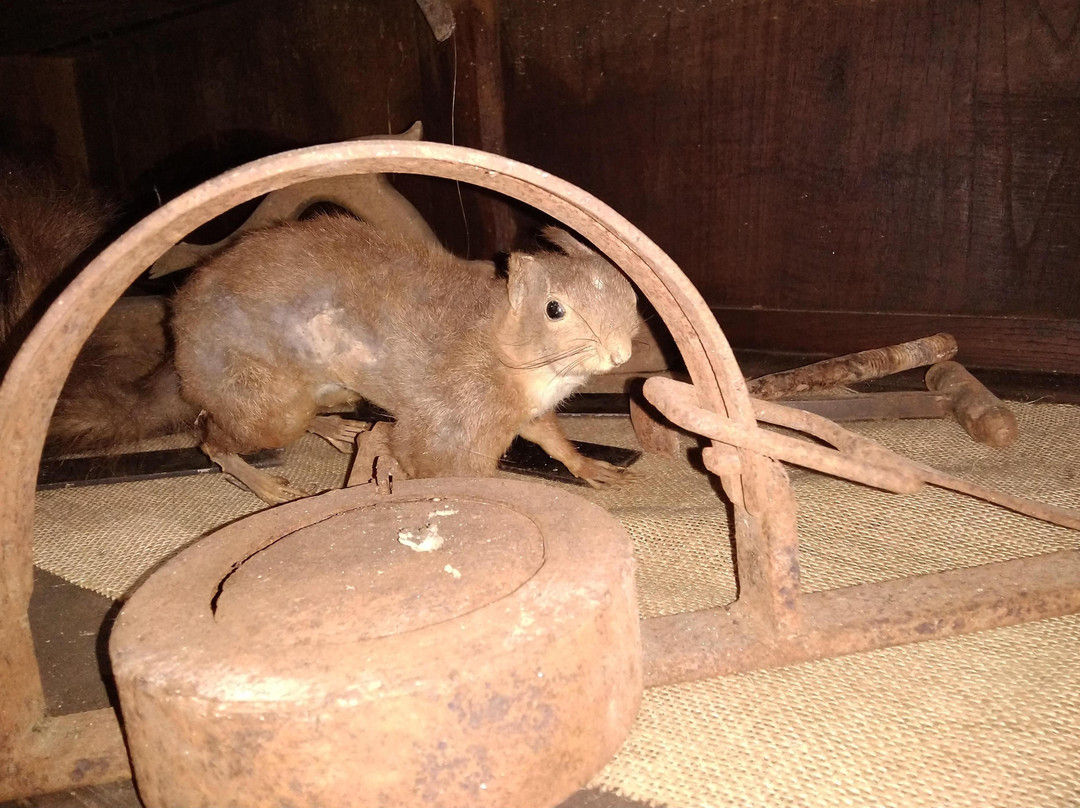 Viva o Arco-Cabeceiras de Basto必去景点