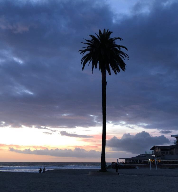 Moonlight Beach State Park-恩西尼塔斯必去景点