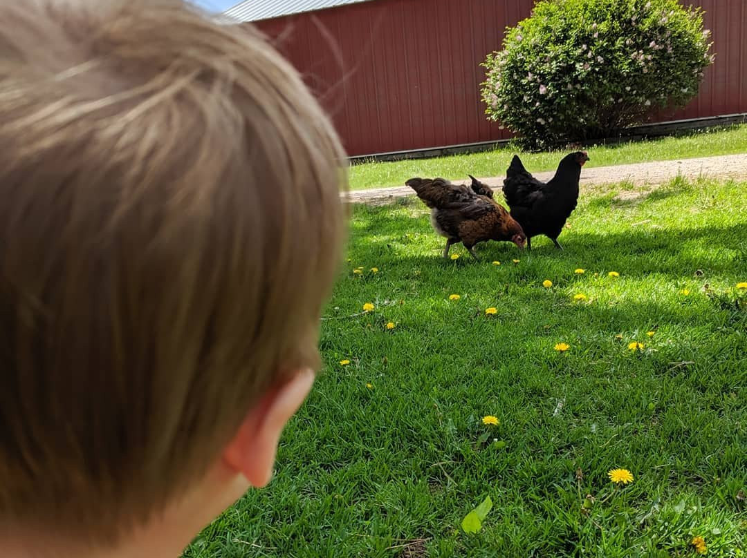 Poplar Goat Farm Tours-Scandia必去景点