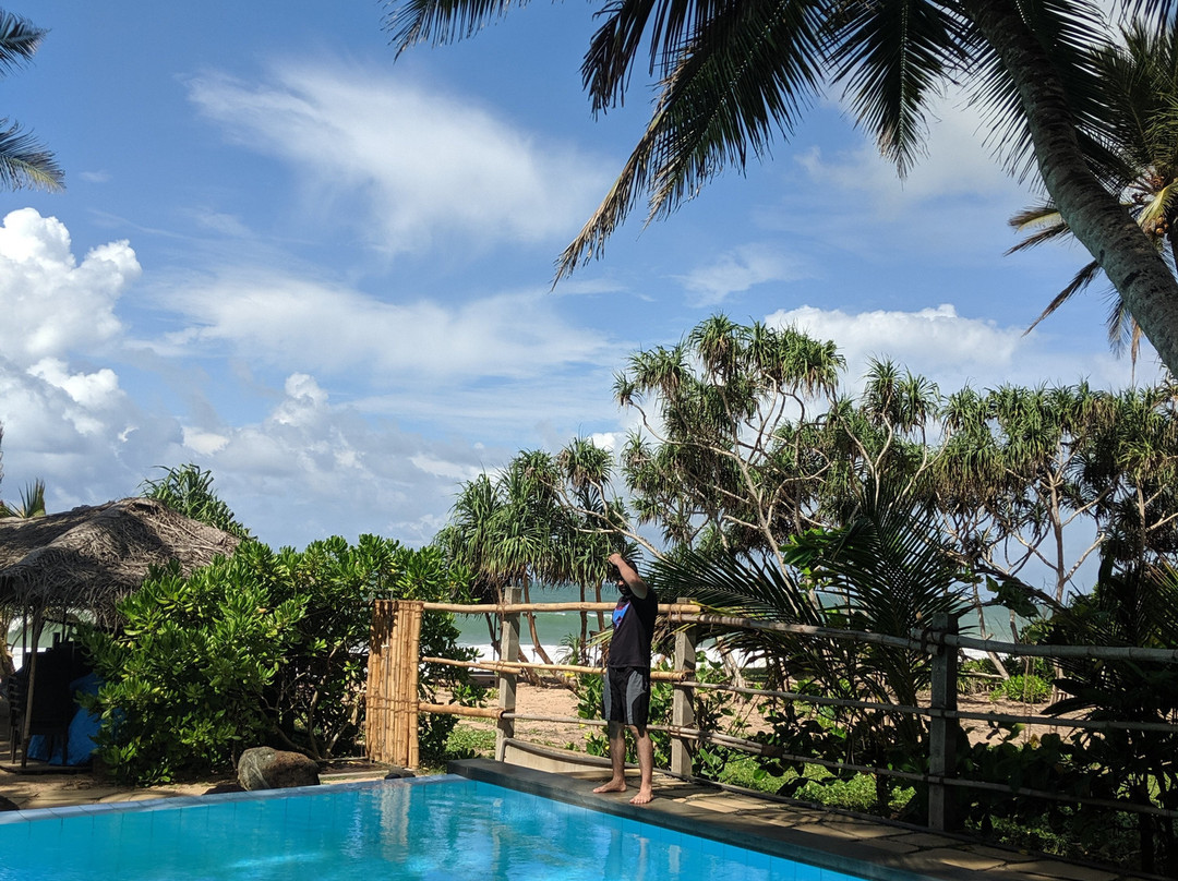 Seven Turtles Resort主图