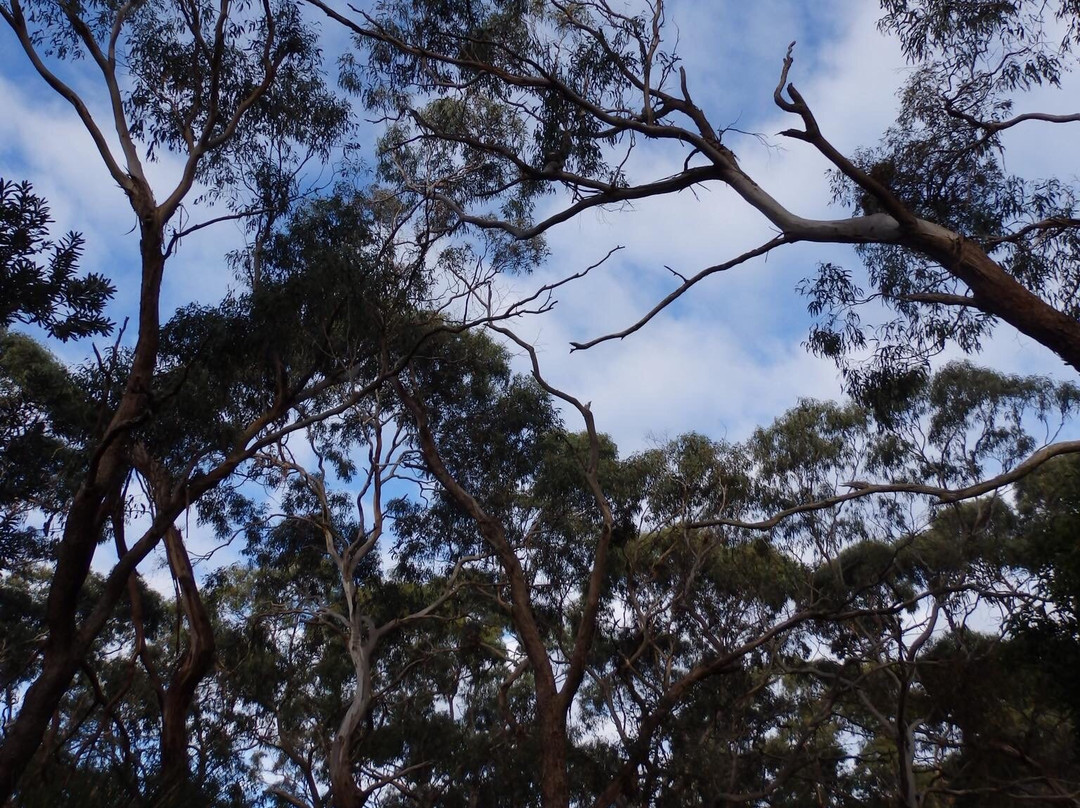 Peninsula Gardens Bushland Reserve景点图片