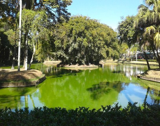 Mariano Procopio Museum