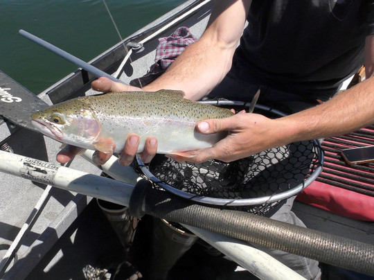 Confluence Fly Shop-本德必去景点