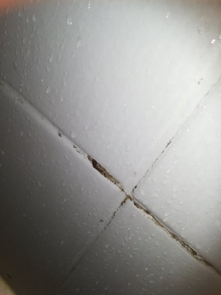 阿特里姆蒙迪亚尔酒店-官方