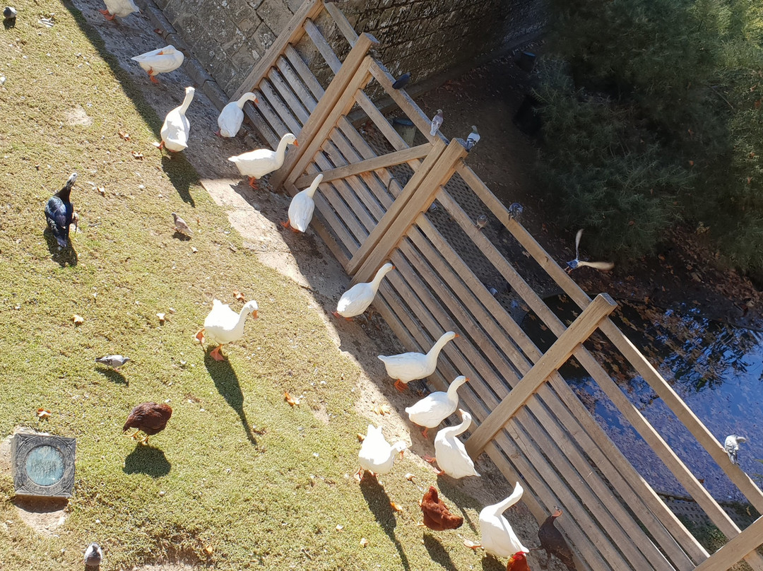 Parque de La Taconera-潘普洛纳必去景点