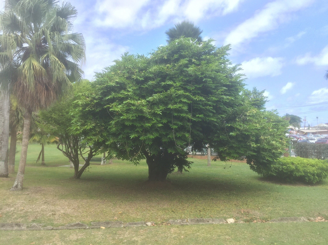 Scarborough Botanical Garden-斯卡伯勒必去景点