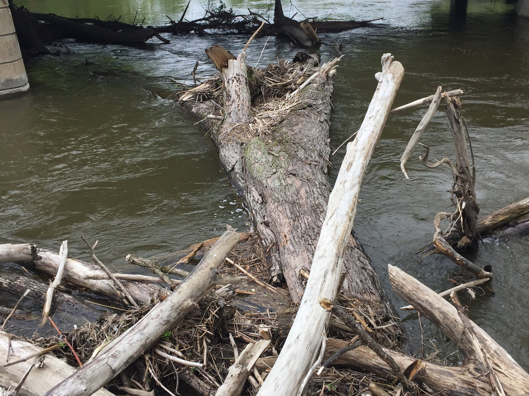 Vergennes Falls Park-Vergennes必去景点