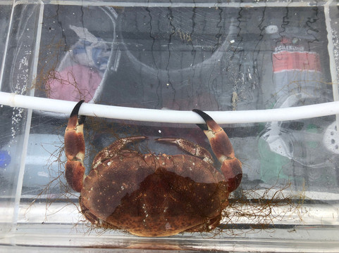 Isle of Harris Sea Tours-Tarbert必去景点