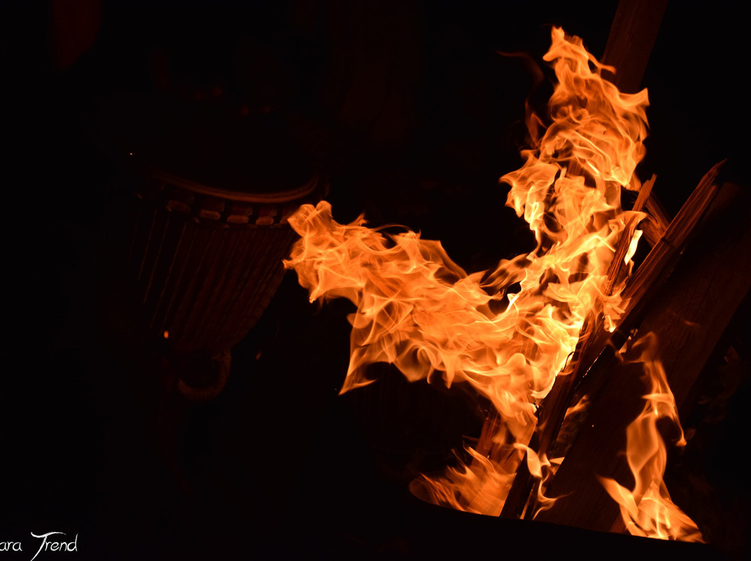 Sahara Trend-迈哈米德必去景点