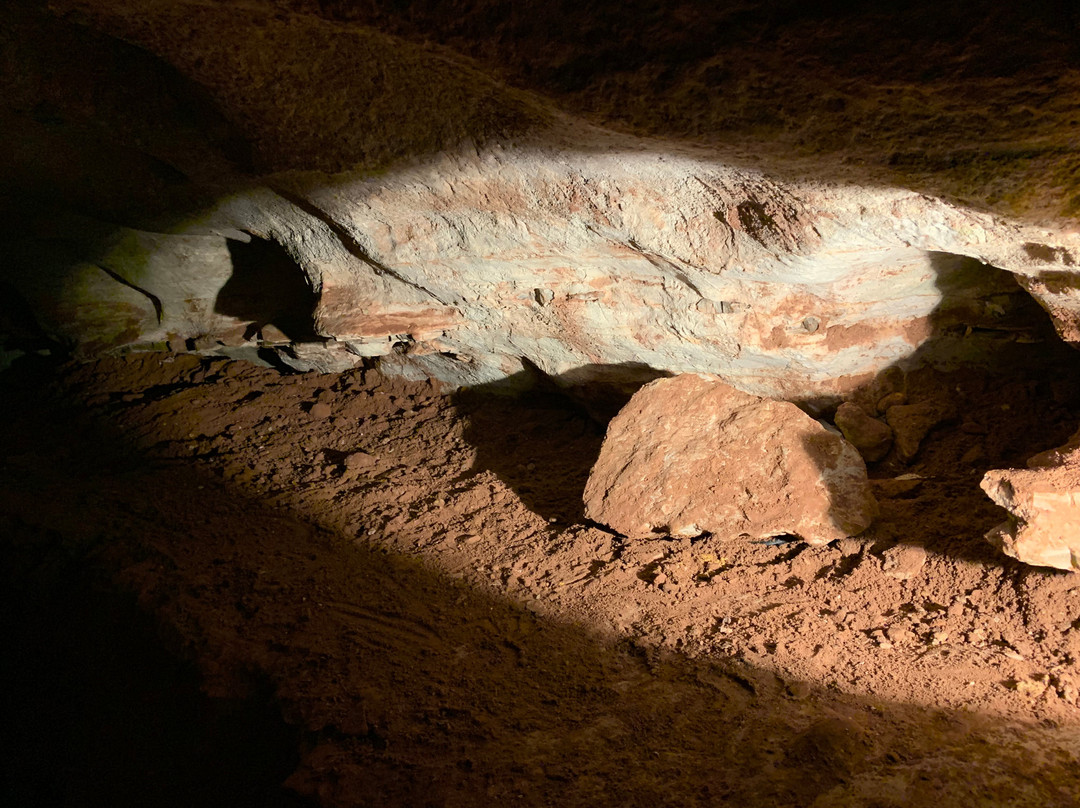 Wind Cave Canyon Trail-Wind Cave National Park必去景点